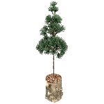 ZedernBaum ArtificialNature, PE/Holz, 14x14x45 cm