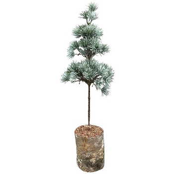 ZedernBaum ArtificialNature, PE/Holz, 14x14x45 cm