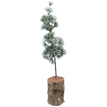 ZedernBaum ArtificialNature, PE/Holz, 14x14x60 cm
