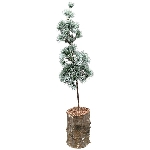 ZedernBaum ArtificialNature, PE/Holz, 14x14x60 cm