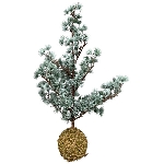 ZedernBaum ArtificialNature, PE, 35x35x75 cm
