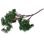 Kiefern Pick ArtificialNature, PE, 50x26x10 cm