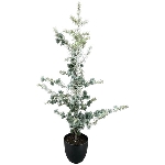 ZedernBaum im Topf ArtificialNature, PE, 50x50x95 cm