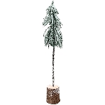 Baum ArtificialNature, Kunststoff, 38 cm