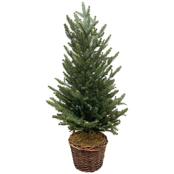 TannenBaum im Korb ArtificialNature, grün, PE, 45x45x82 cm