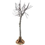 Baum Bloom, natural, Holz, 32x32x130 cm
