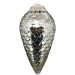 ZapfenHänger Vitreous, Glas, 10x10x40 cm