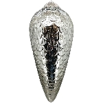 ZapfenHänger Vitreous, Glas, 10x10x50 cm