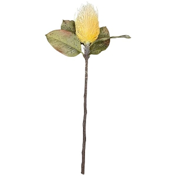 Distel ArtificialNature, 66 cm