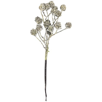 ZapfenZweig ArtificialNature, 38 cm