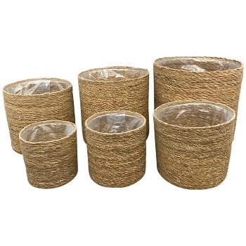 PflanzKorbSet/6 SEGA, Gras, 14x14x14 cm, 17x17x16 cm