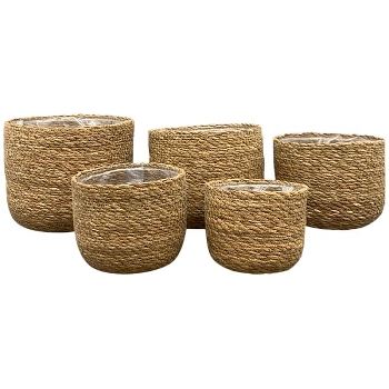 PflanzKorbSet/5 SEGA, Gras, 12x12x10 cm, 14x14x12 cm