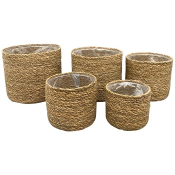 PflanzKorbSet/5 SEGA, Gras, 12x12x10 cm, 14x14x12 cm