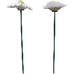 BlumenStecker Marta, weiß, Stoneware, 8,4x8,2x63 cm
