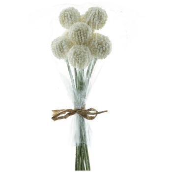 TrommelstöckchenBund ArtificialNature, creme, 28 cm