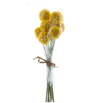 TrommelstöckchenBund ArtificialNature, gelb, 28 cm