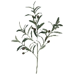 OlivenZweig ArtificialNature, 75 cm