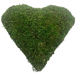 Herz Willow, grün, Moos, 30x30x9 cm