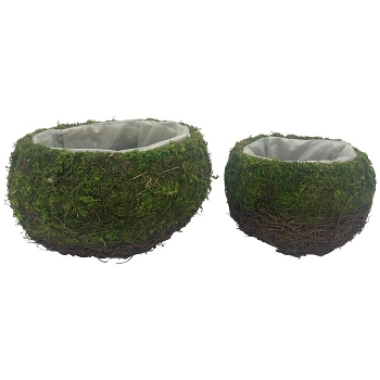 PflanzKorb Set/2 Willow, grün/braun, Rattan/Moos