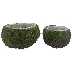 PflanzKorb Set/2 Willow, grün/braun, Rattan/Moos