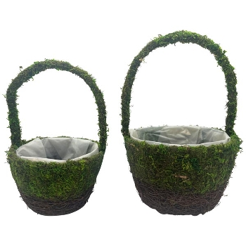 PflanzKorb Set/2 Willow, grün/braun, Rattan/Moos