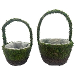 PflanzKorb Set/2 Willow, grün/braun, Rattan/Moos