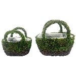 PflanzKorb Set/2 Willow, grün/braun, Rattan/Moos
