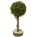 Baum Aride, natur, Moos/Holz, 12x12x30 cm