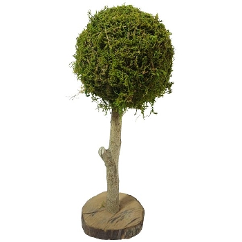 Baum Aride, natur, Moos/Holz, 15x15x40 cm