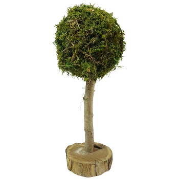 Baum Aride, natur, Moos/Holz, 20x20x50 cm