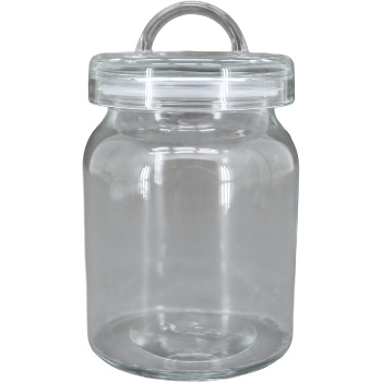 Barattolo Verre, trasparente, Vetro, 10,5x10,5x17 cm