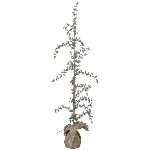 TannenBaum mit LEDs ArtificialNature, grün, PE, 15x15x95 cm