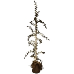 TannenBaum mit LEDs ArtificialNature, grün, PE, 15x15x95 cm