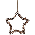 SternHänger Aride, gold/natur, Zimtsterne, 22,5x1,5x22,5 cm
