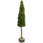 TannenBaum Aride, natur, Moos/Holz, 11x11x60 cm