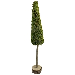 TannenBaum Aride, natur, Moos/Holz, 12x12x70 cm