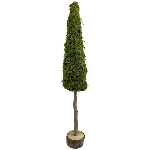 TannenBaum Aride, natur, Moos/Holz, 13x13x80 cm
