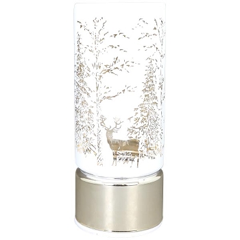 LED Licht Lumière, silber, Glas, 9x9x22 cm