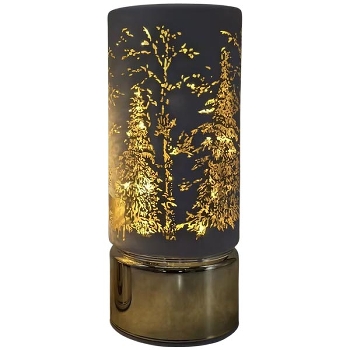 LED Licht Lumière, silber, Glas, 9x9x22 cm