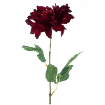 Blumen