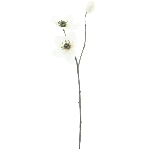 Helleborus spray Caseros ArtificialNature, creme, 56 cm