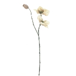 Helleborus spray Caseros ArtificialNature, braun, 56 cm