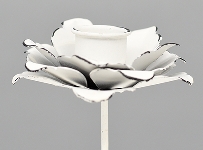 ClairBlanc