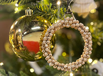 XMAS - Iride
